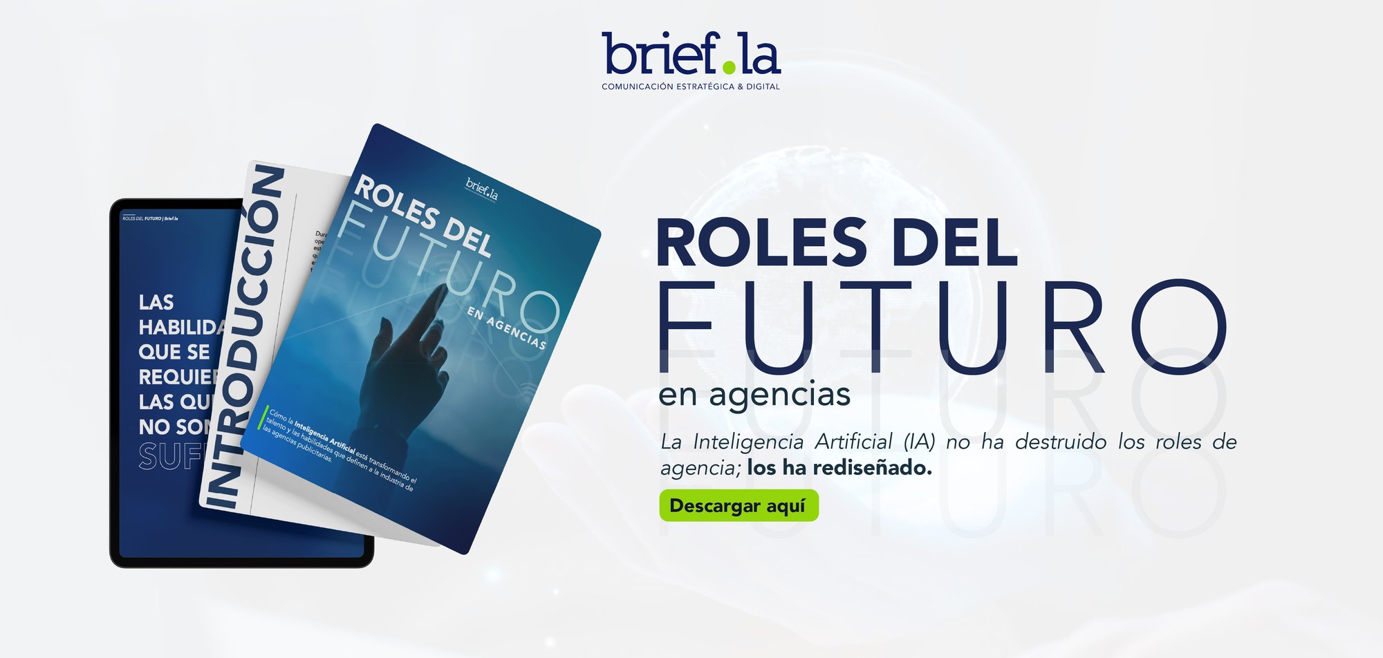 Landing recurso brief-01