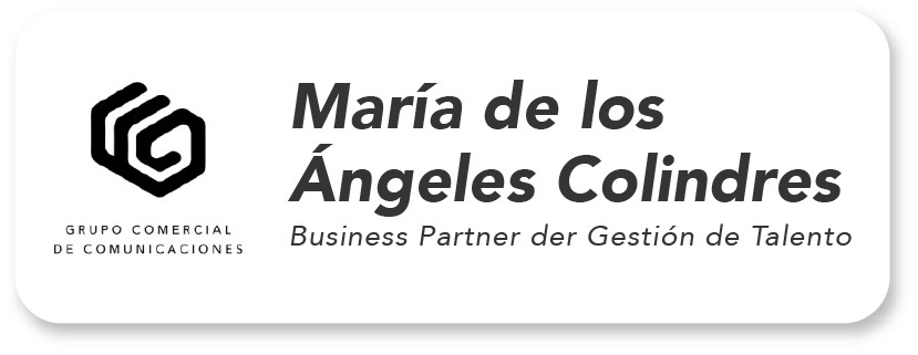 Landing recurso brief-03